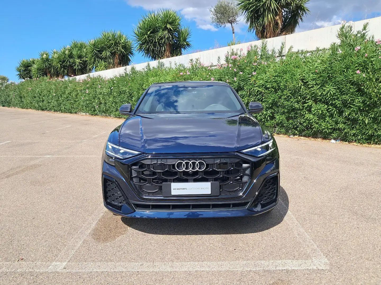 Audi Q8 50 TDI 286 CV quattro tiptronic S line edition Azul - 1