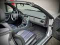 Mercedes-Benz SLK 230 Kompressor / Aut / R170 / Designo nappa interior / Gris - thumbnail 35