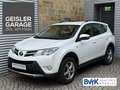 Toyota RAV 4 4 Comfort 4x4 Cam Klimaaut Bluet AHK / 1.Hand Blanco - thumbnail 1