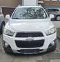 Chevrolet Captiva 2.2 D LTZ 4WD Bianco - thumbnail 1