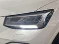 Audi Q2 35 TFSI Adrenalin S tronic 110kW Blanc - thumbnail 15