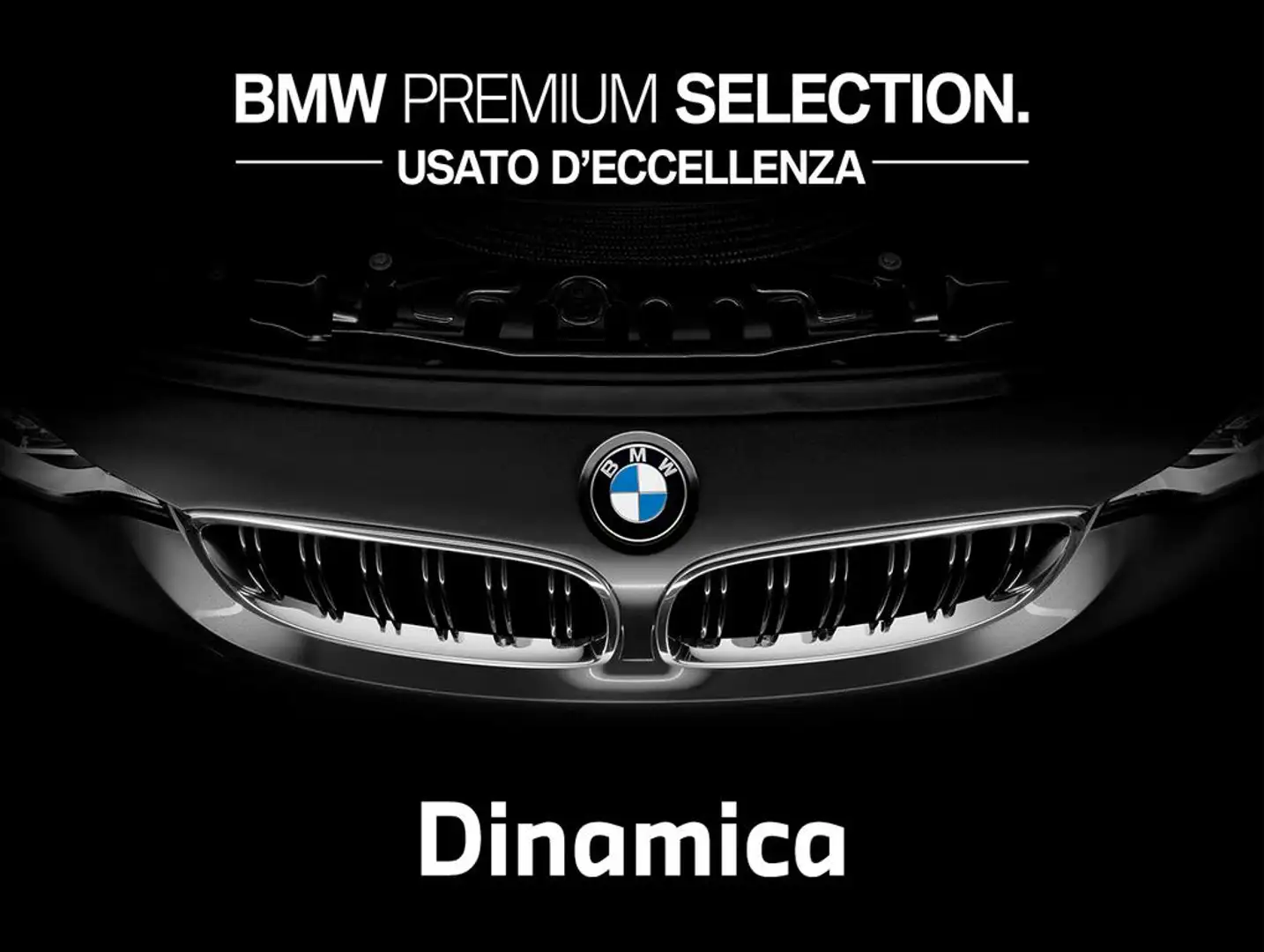 BMW X1 sdrive18d Business Advantage auto Blu/Azzurro - 1