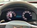 CUPRA Leon ST 2.0 TSI 4Drive DSG VZ *AHK*Pano*Matrix* Grau - thumbnail 19