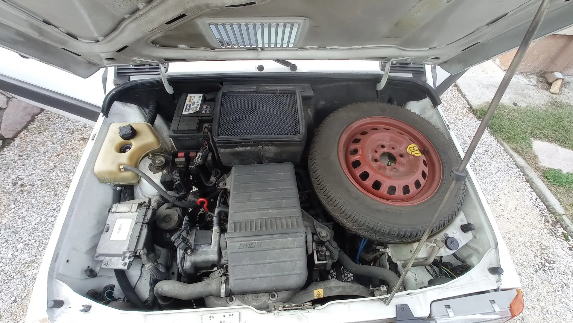 Fiat Panda Panda 1.1 Hobby Bianco - 2