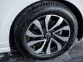 Volkswagen Golf VIII 1.5 TSI Active AHK KAM LED NAVI SHZ Weiß - thumbnail 5