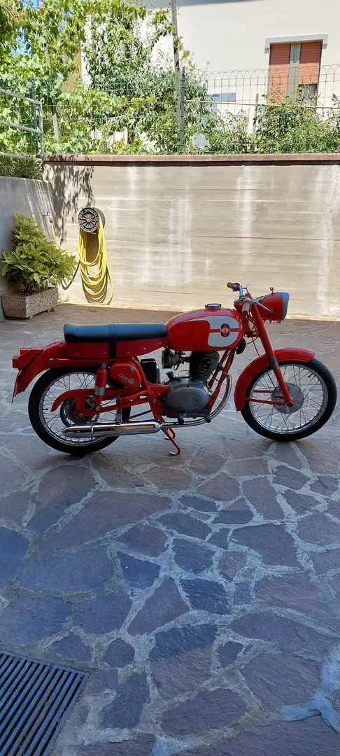 Gilera crvena - 2