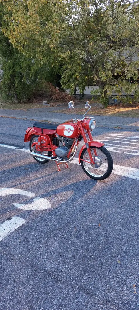 Gilera crvena - 1