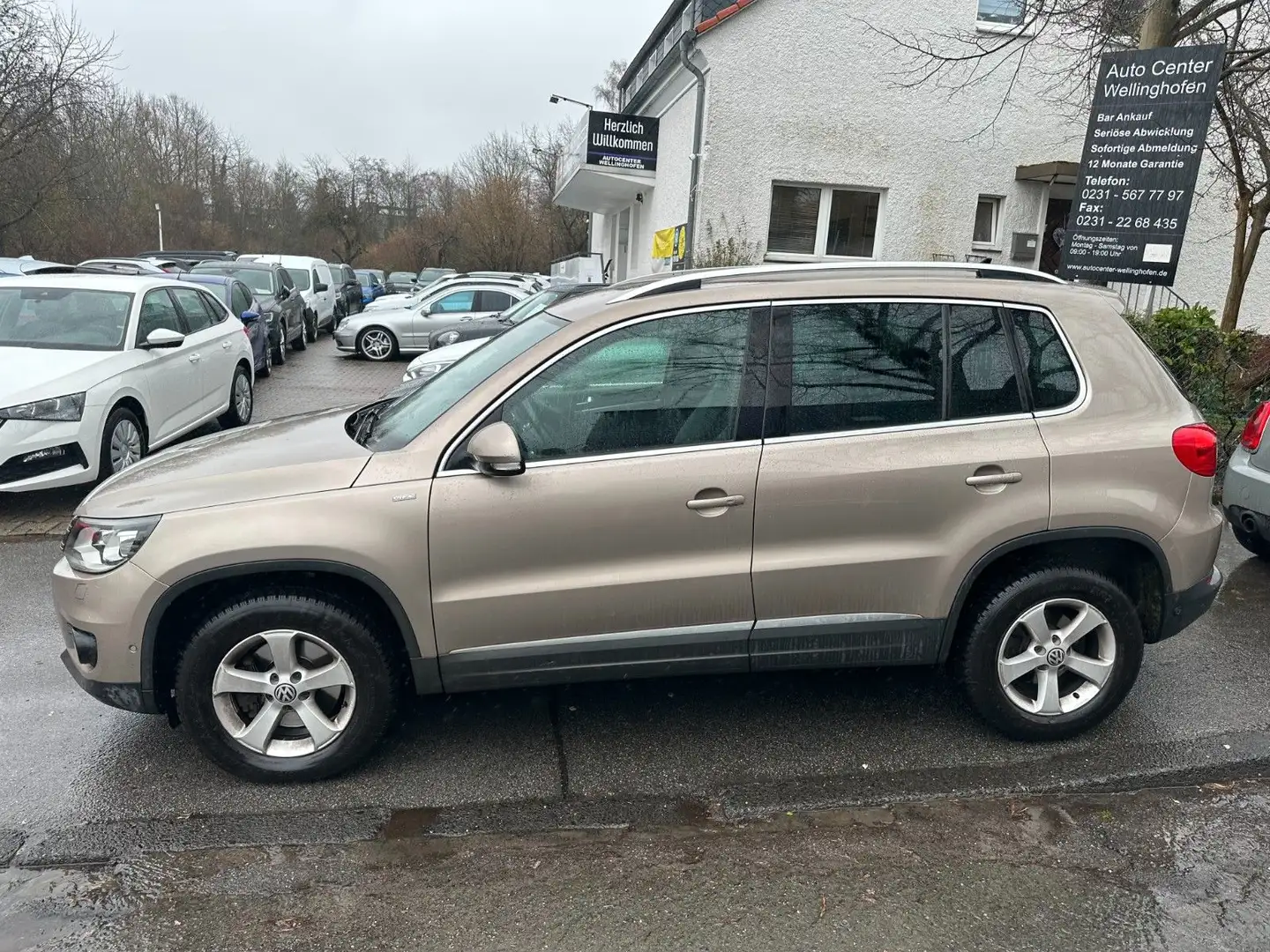 Volkswagen Tiguan Life BMT 4Motion/Aut./88.000km/Navi/Kamer Beige - 2
