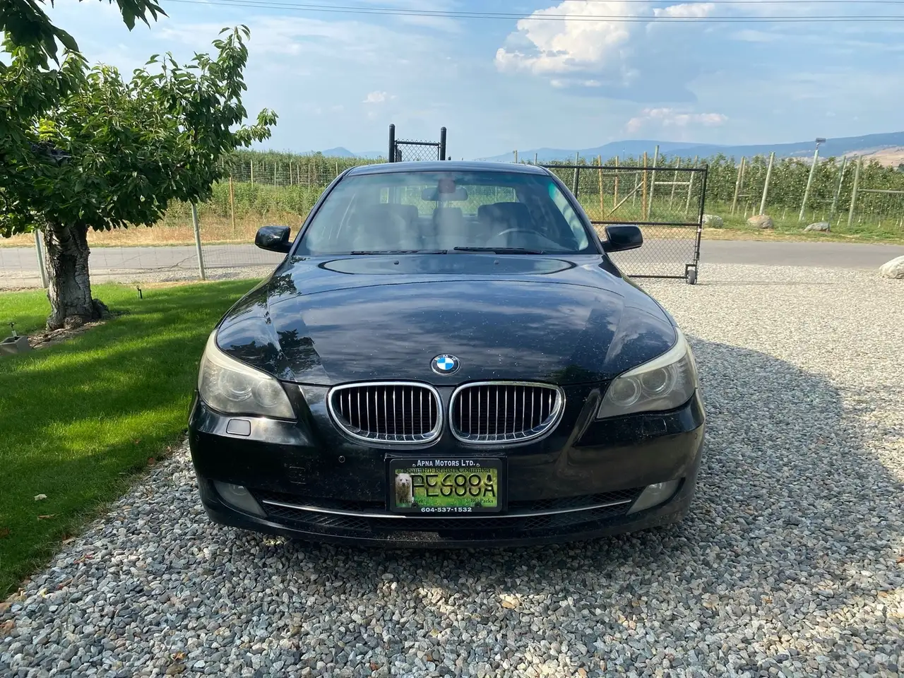 BMW 5 Series снимка BMW 5 Series