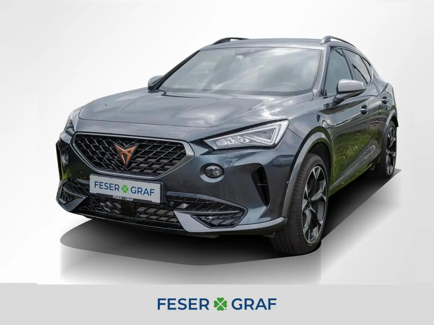 CUPRA Formentor VZ 2.0TSI LED/ASSISTENZ-L/FULL-LINK/SHZ Grau - 1