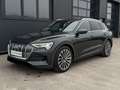 Audi e-tron 55 quattro 95kWh Business *S-LINE*B&O* Grau - thumbnail 3