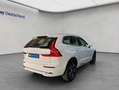 Volvo XC60 XC60 T6 AWD Recharge Inscription Glasd ACC Leder-B Weiß - thumbnail 7
