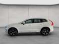 Volvo XC60 XC60 T6 AWD Recharge Inscription Glasd ACC Leder-B Weiß - thumbnail 2