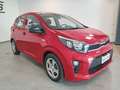 Kia Picanto 1.0 12V 5 porte Concept OFFERTA SUPERPROMO!!!! Rosso - thumbnail 3