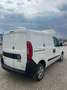 Fiat Doblo Bianco - thumbnail 8