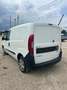 Fiat Doblo Bianco - thumbnail 9