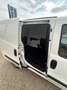 Fiat Doblo Bianco - thumbnail 6