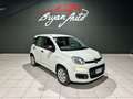 Fiat Panda 1.2 Lounge s PERFETTA PER NEOAPATENTATI - thumbnail 2