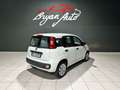 Fiat Panda 1.2 Lounge s PERFETTA PER NEOAPATENTATI - thumbnail 4
