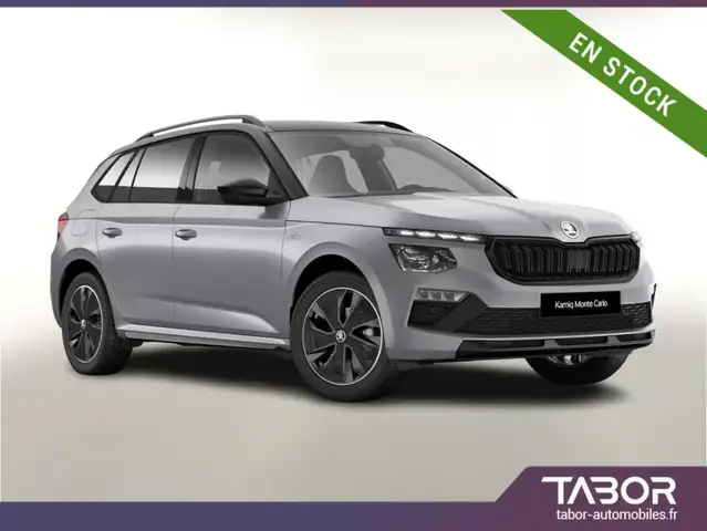 Skoda Kamiq 150 Monte Pano Matrix GPS Cam Kessy