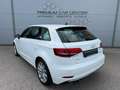 Audi A3 35 TDI design LED / PARKPILOT / SITZHZG. / BORDCOM Weiß - thumbnail 4