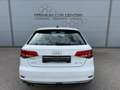 Audi A3 35 TDI design LED / PARKPILOT / SITZHZG. / BORDCOM Weiß - thumbnail 5