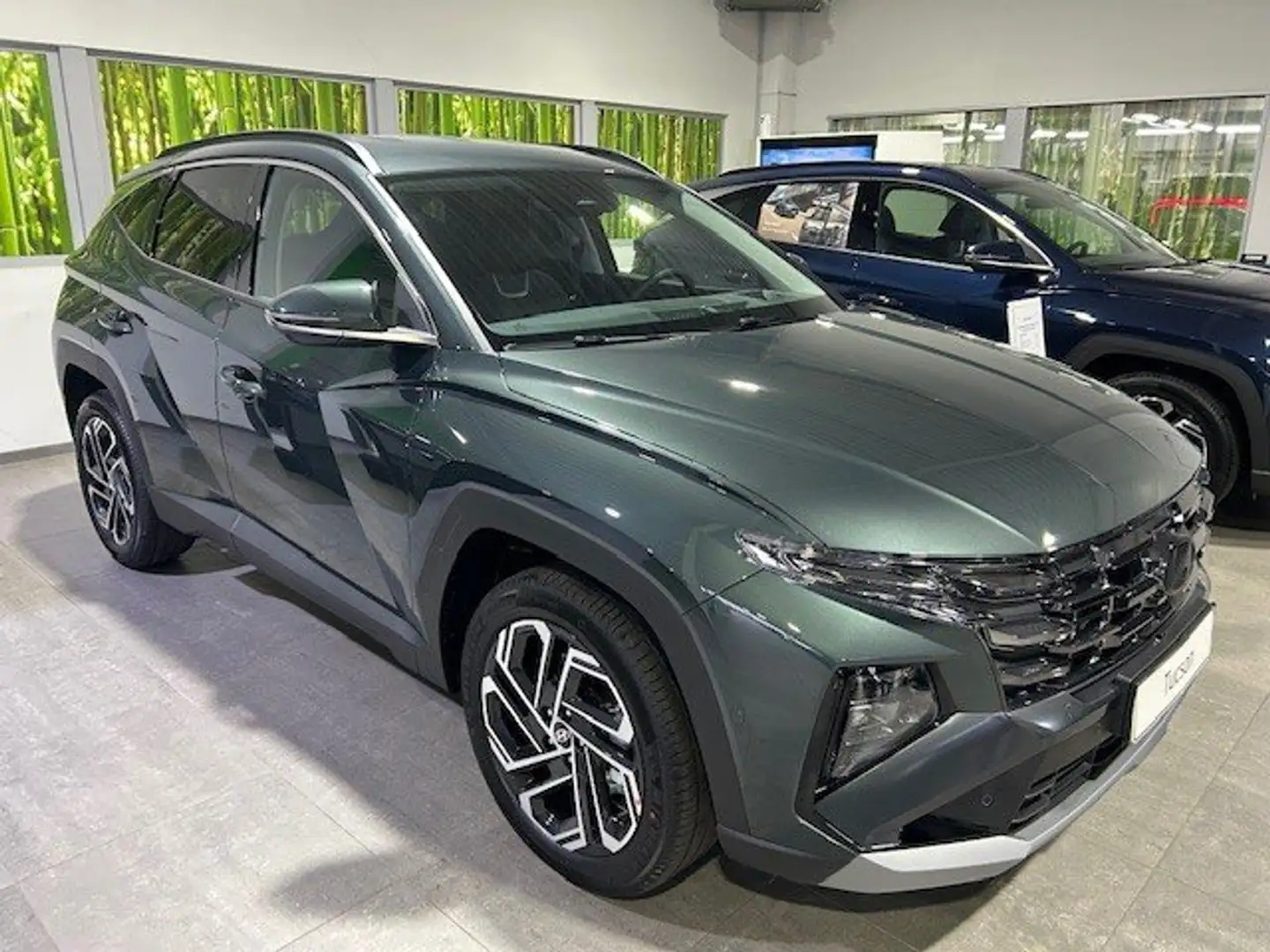 Hyundai TUCSON TUCSON 1.6 T-GDi HEV 239PK Shine Cypress Green Verde - 1