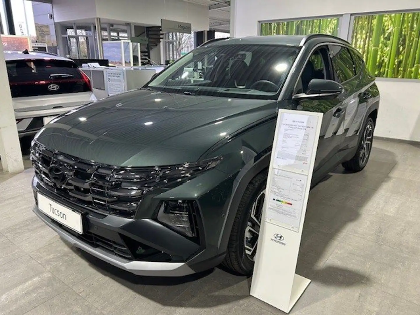 Hyundai TUCSON TUCSON 1.6 T-GDi HEV 239PK Shine Cypress Green Verde - 2