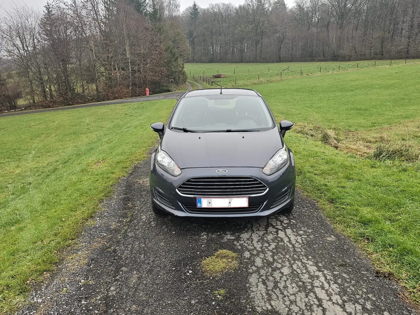 Ford Fiesta Fiesta 1.6i Ti-VCT Trend PowerShift Blauw - 1