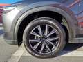 Mazda CX-5 CX-5 CD150 AWD Revolution Revolution Grau - thumbnail 9