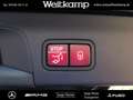 Mercedes-Benz GLS 580 GLS 580 4M AMG+AHK+Pano+E-ACTIVE BODY CONTROL BC Schwarz - thumbnail 9