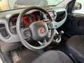 Fiat Panda Panda Cross 1.0 FireFly S&S Hybrid Bianco - thumbnail 6