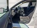 Skoda Scala 1.0 TSI DSG Ambition KlimaA SmartLink Kam SpurH SH Bianco - thumbnail 10