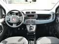 Fiat Panda 1.0 Hybrid E6D PREZZO +IVA NEOPAT. NO VINC. FINANZ Nero - thumbnail 5