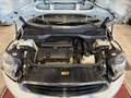 MINI One Countryman MINI Countryman ONE **TOP Zustand** Weiß - thumbnail 19