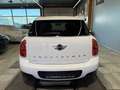 MINI One Countryman MINI Countryman ONE **TOP Zustand** Weiß - thumbnail 5