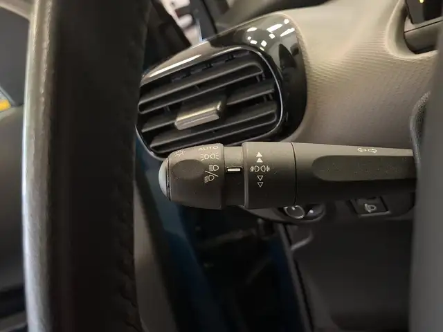 Citroen C4 Cactus view 13