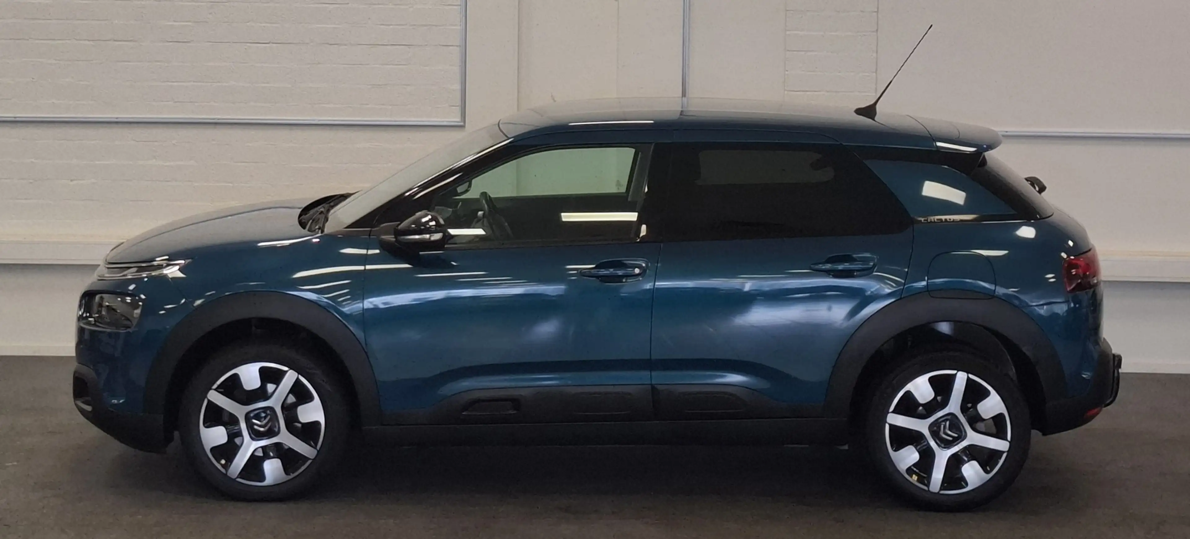 Citroen C4 Cactus 1.2 PureTech Shine Plus Automaat Distributie v.v 2 — photo 4