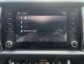 Skoda Kodiaq 2.0 TDI 4x4 Style AHK ACC RÜCKFAHRKAMERA Gris - thumbnail 30