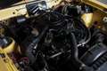 Oldtimer AMC American Motors AMX 4.2 Liftback Geel - thumbnail 28