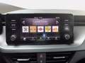 Skoda Kamiq 1.0 tsi ambition 110cv Grigio - thumbnail 18