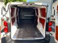 Peugeot Expert L3 H1 CAMIONNETTE -TVA RECUPERABLE-12.000€ +TVA Bianco - thumbnail 13