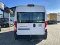 Fiat Ducato KASTENWAGEN 35 L2H2 140 MT 6E Белый - thumbnail 5
