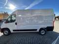 Fiat Ducato KASTENWAGEN 35 L2H2 140 MT 6E Blanc - thumbnail 12