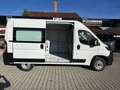 Fiat Ducato KASTENWAGEN 35 L2H2 140 MT 6E Weiß - thumbnail 3