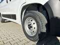 Fiat Ducato KASTENWAGEN 35 L2H2 140 MT 6E Blanc - thumbnail 24