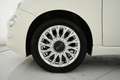 Fiat 500 1.2 Lounge easypower Gpl 69cv TETTO PANO+LED+NEOPA White - thumbnail 40