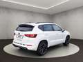 CUPRA Ateca Cupra Ateca 2.0 TSI 140kW (190PS) DSG 4Drive Grau - thumbnail 5