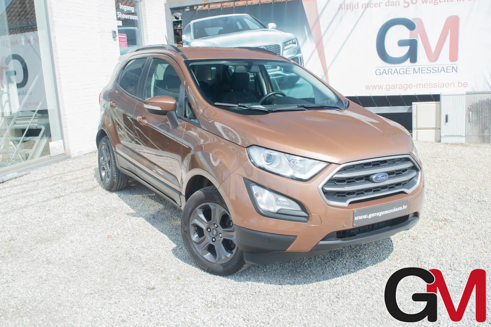 Ford EcoSport 1.0 EcoBoost 4x2 Trend Bruin - 1