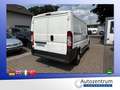 Fiat Ducato 2.2 JTD Kasten *AHK*PARKHILFE* Blanc - thumbnail 4